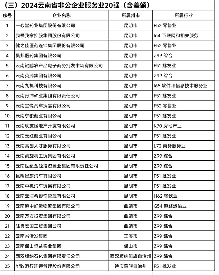 《2024云南省非公企业服务业20强》完整榜单