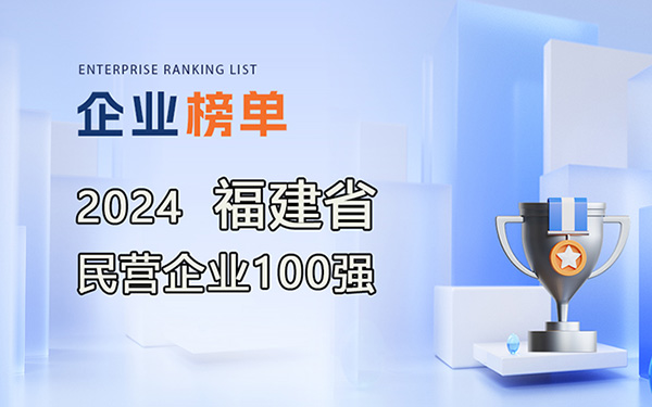 2024福建省民营企业100强