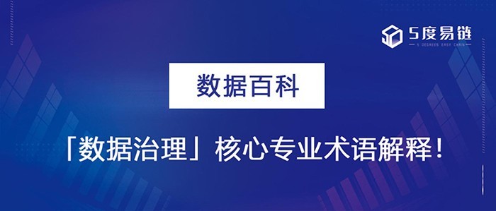 数据治理核心专业术语解释！